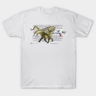 Dragon Fetch! with text T-Shirt